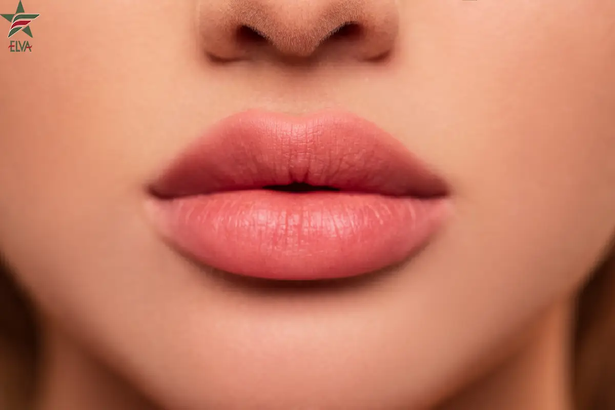 چرا باید برای تزریق فیلر لب، کلینیک الوا را انتخاب کنیم؟